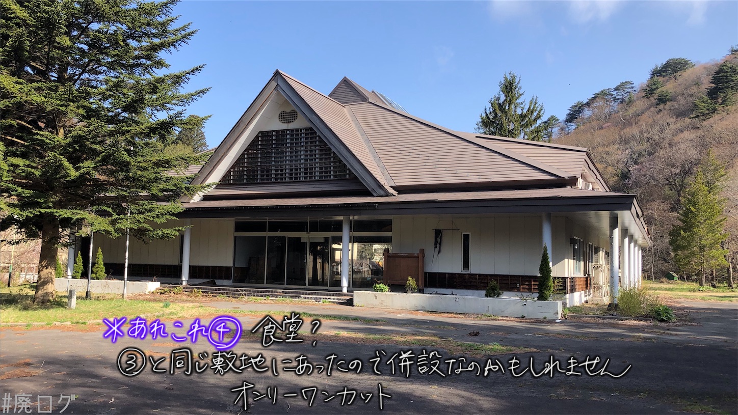 f:id:hiyapa:20210613174509j:image