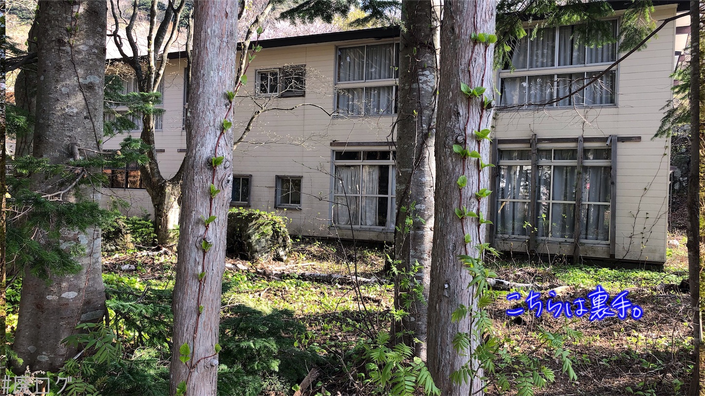 f:id:hiyapa:20210613174514j:image