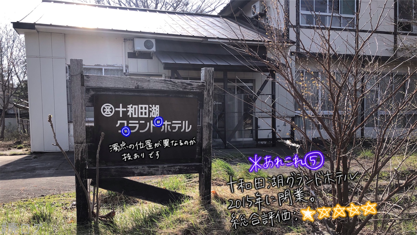 f:id:hiyapa:20210613175328j:image