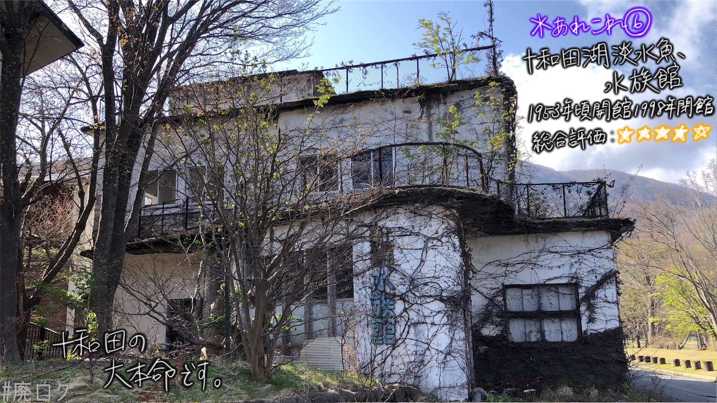 f:id:hiyapa:20210613180118j:image