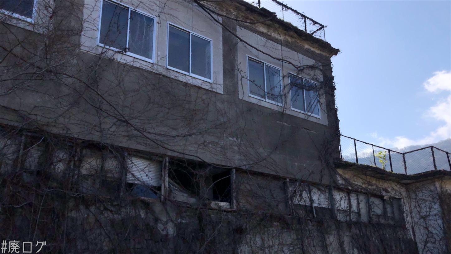 f:id:hiyapa:20210613180123j:image