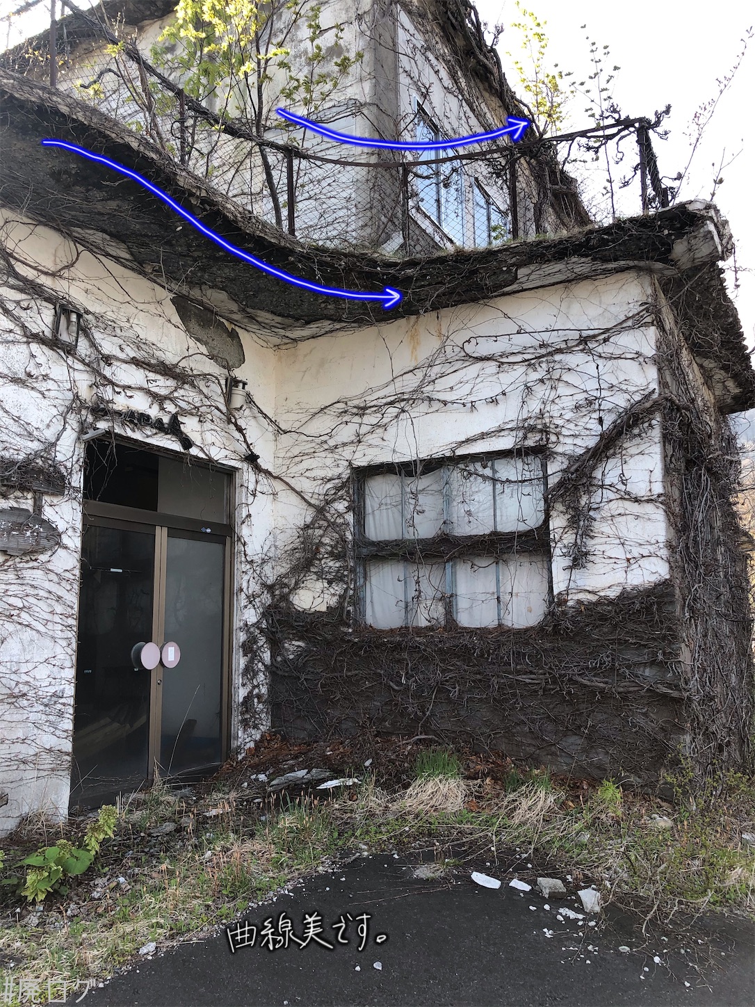 f:id:hiyapa:20210613181401j:image