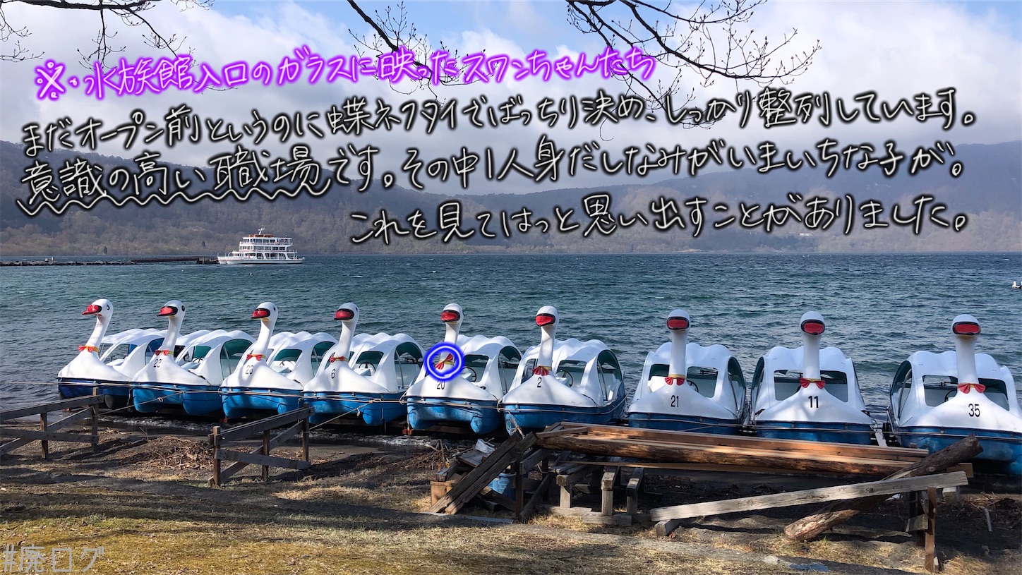 f:id:hiyapa:20210613183250j:image