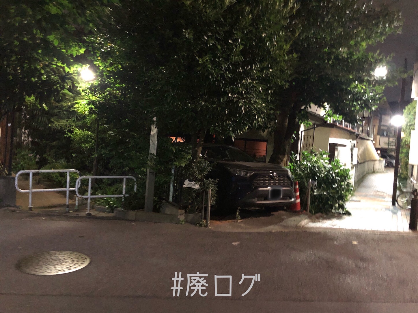 f:id:hiyapa:20210620013543j:image