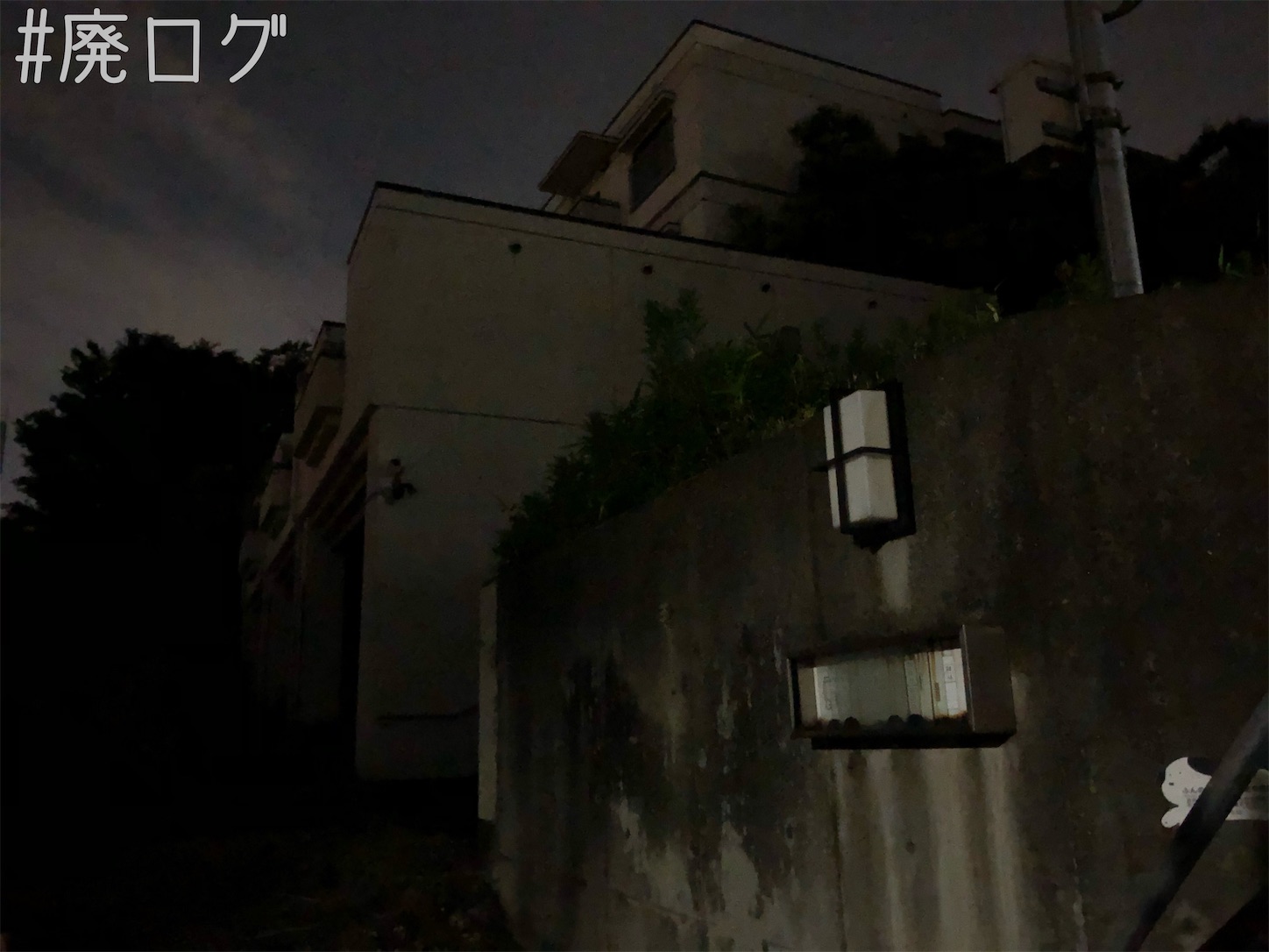f:id:hiyapa:20210620144357j:image