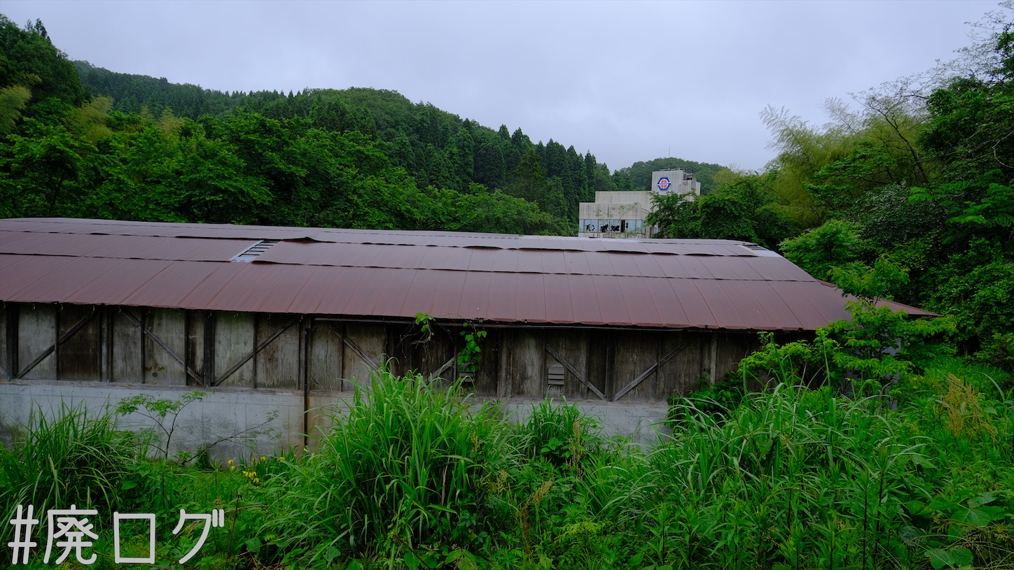 シゲタ動物薬品工業 貴重。 その357:シゲタ動物薬品工業【水路天国富山2/3】 - 廃墟ガールの廃ログ
