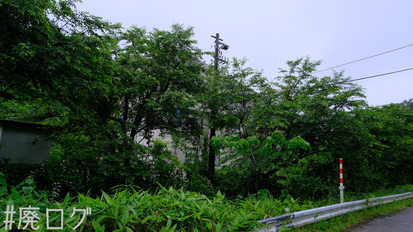 その357:シゲタ動物薬品工業【水路天国富山2/3】 - 廃墟ガールの廃ログ