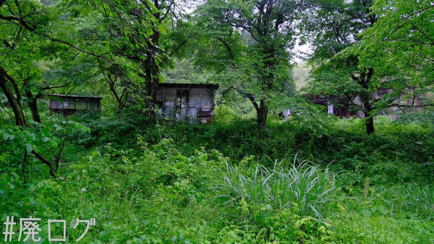 その357:シゲタ動物薬品工業【水路天国富山2/3】 - 廃墟ガールの廃ログ