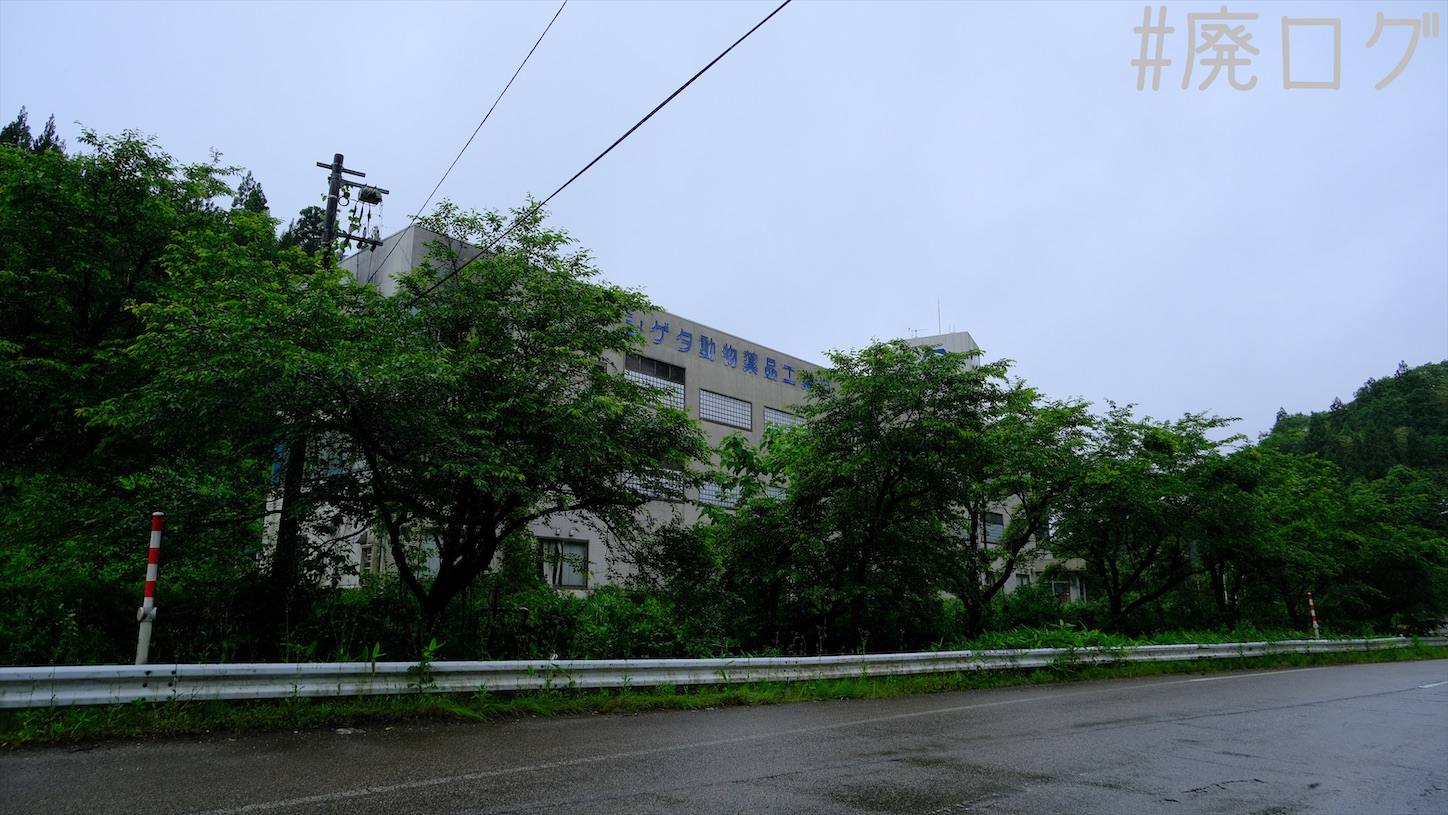 その357:シゲタ動物薬品工業【水路天国富山2/3】 - 廃墟ガールの廃ログ