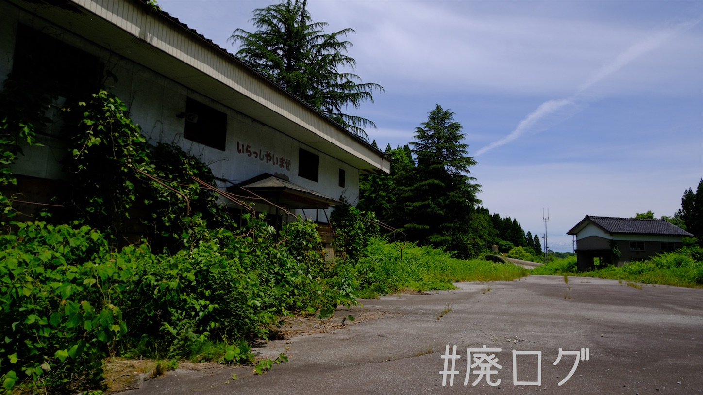 f:id:hiyapa:20210704125209j:image