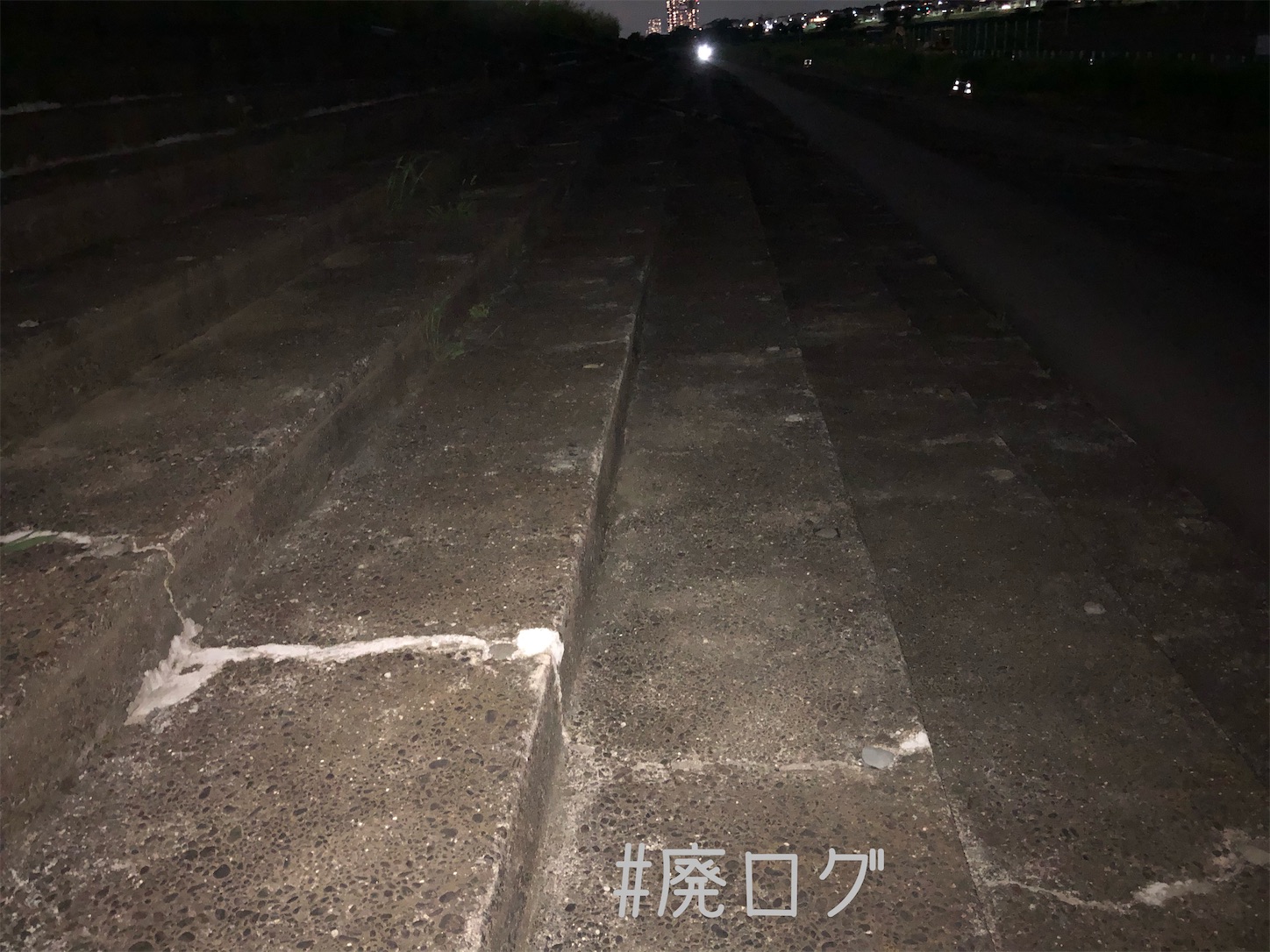 f:id:hiyapa:20210712203015j:image f:id:hiyapa:20210712203015j:image