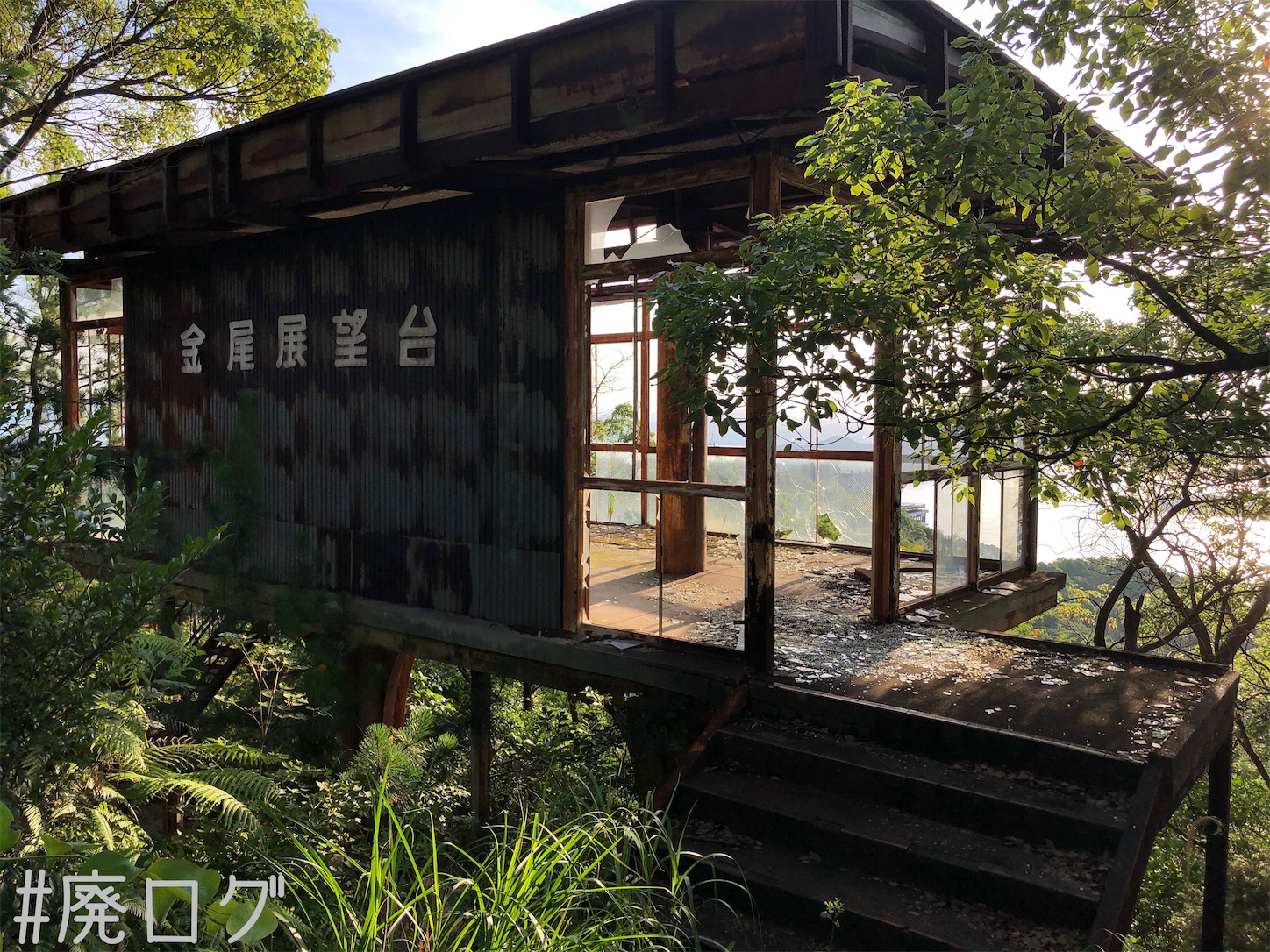 f:id:hiyapa:20210810081751j:image