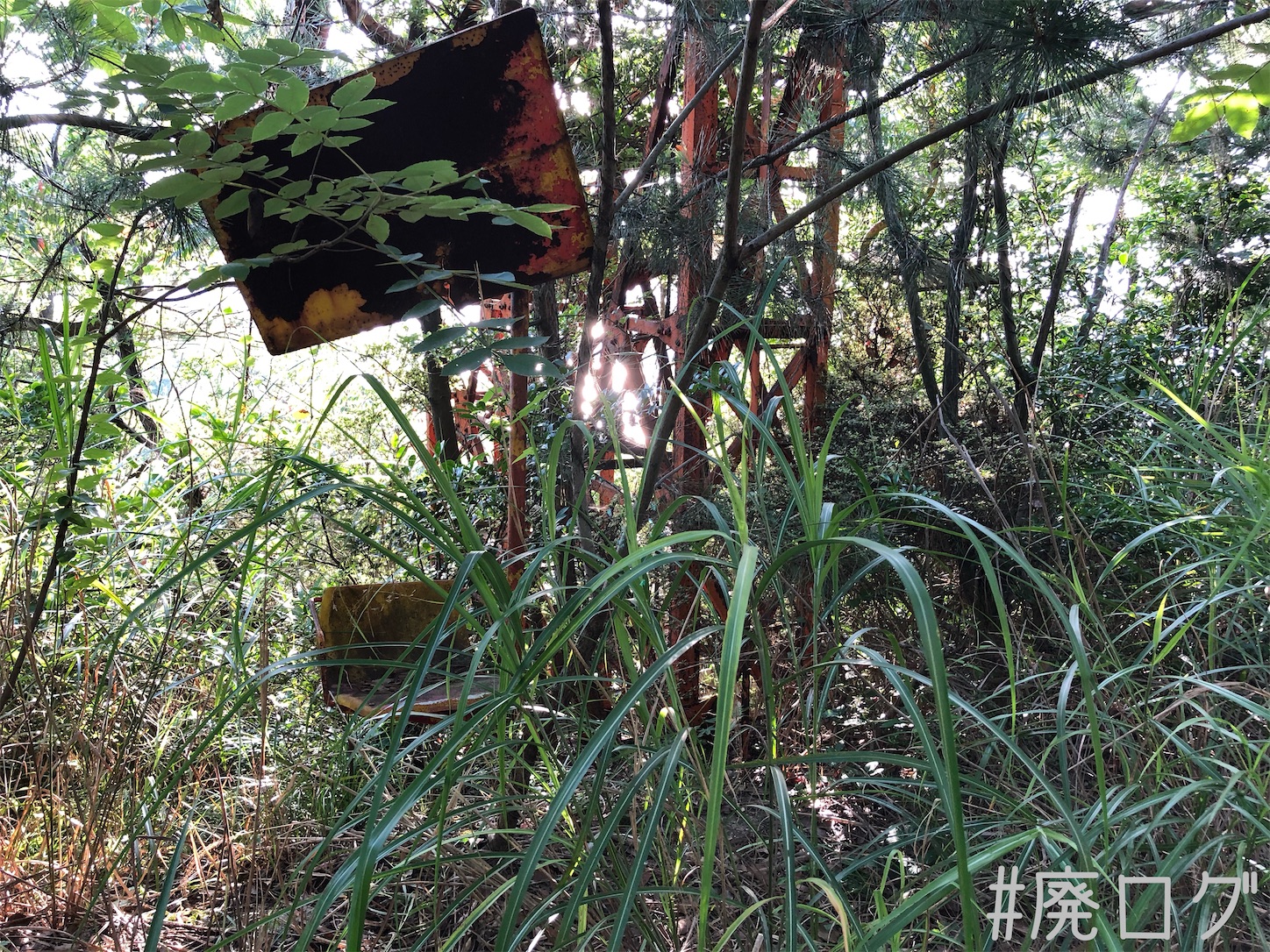 f:id:hiyapa:20210810081756j:image