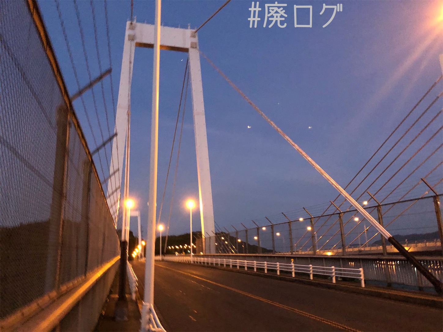 f:id:hiyapa:20210810081801j:image