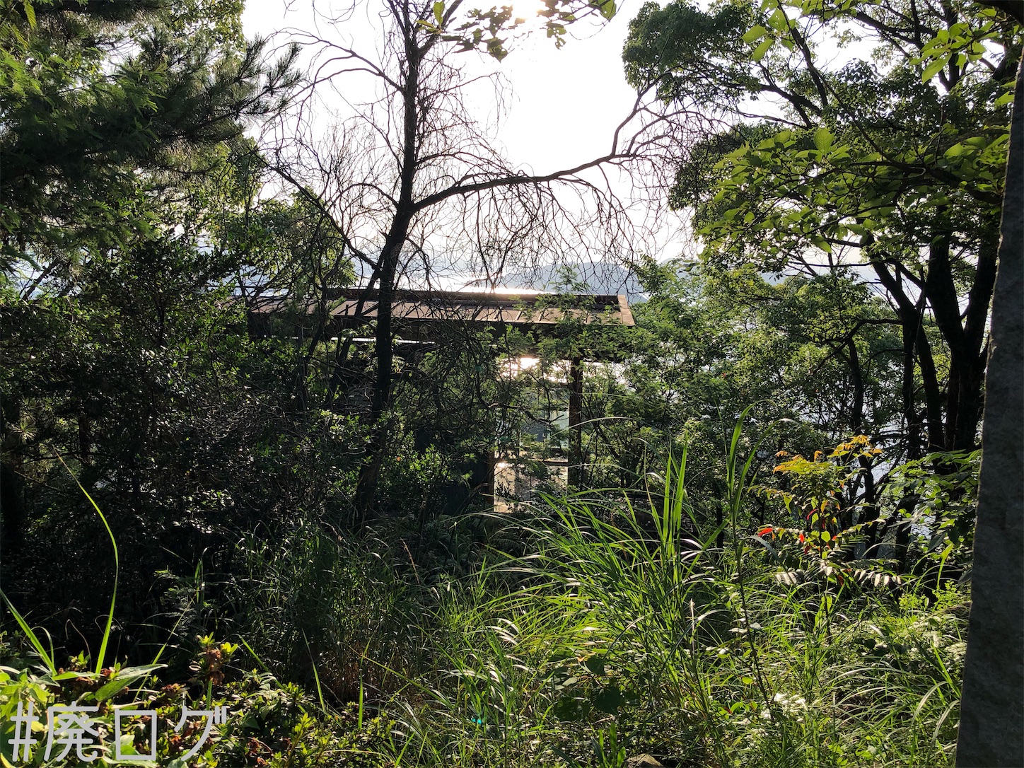 f:id:hiyapa:20210810081820j:image