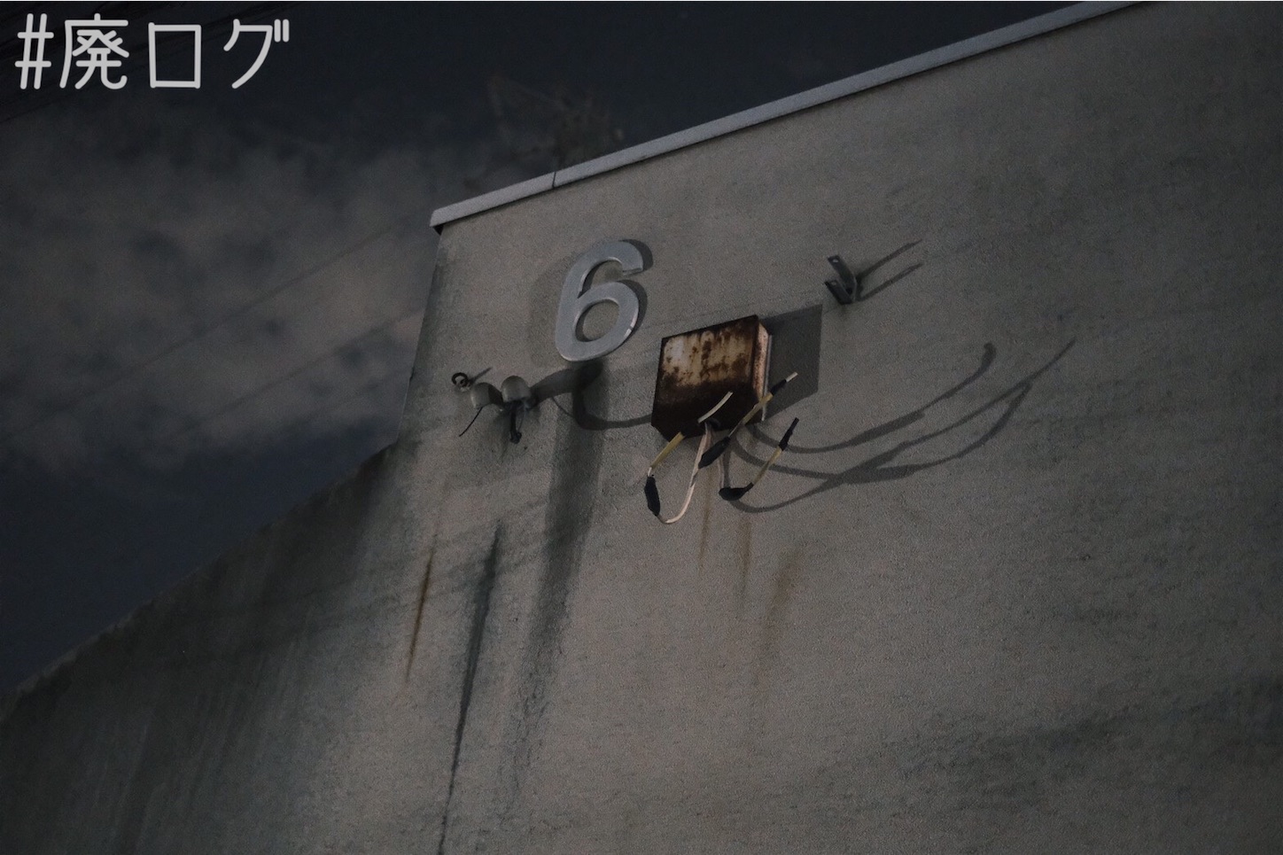 f:id:hiyapa:20210815190318j:image f:id:hiyapa:20210815190318j:image