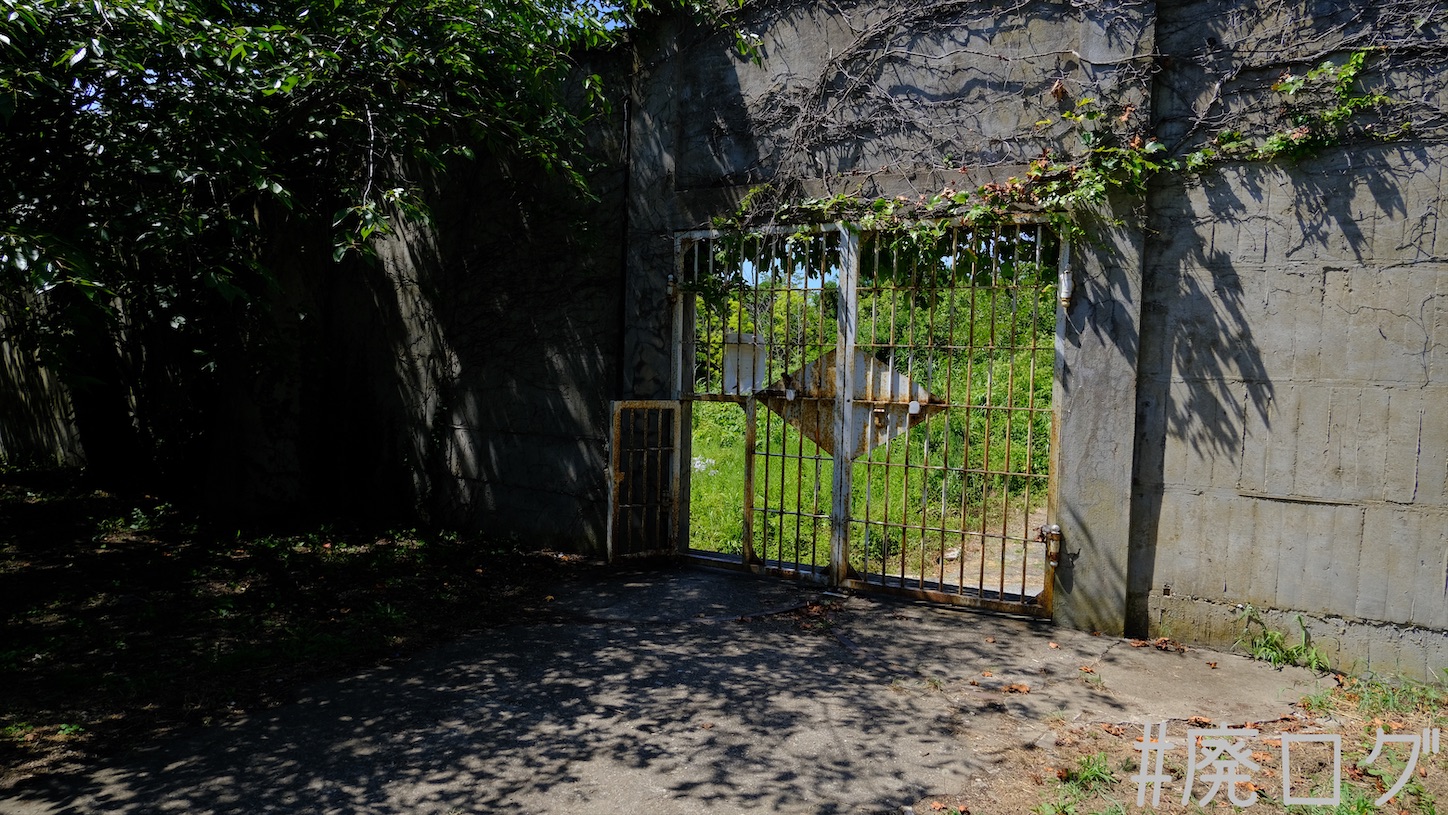 f:id:hiyapa:20210831231310j:image
