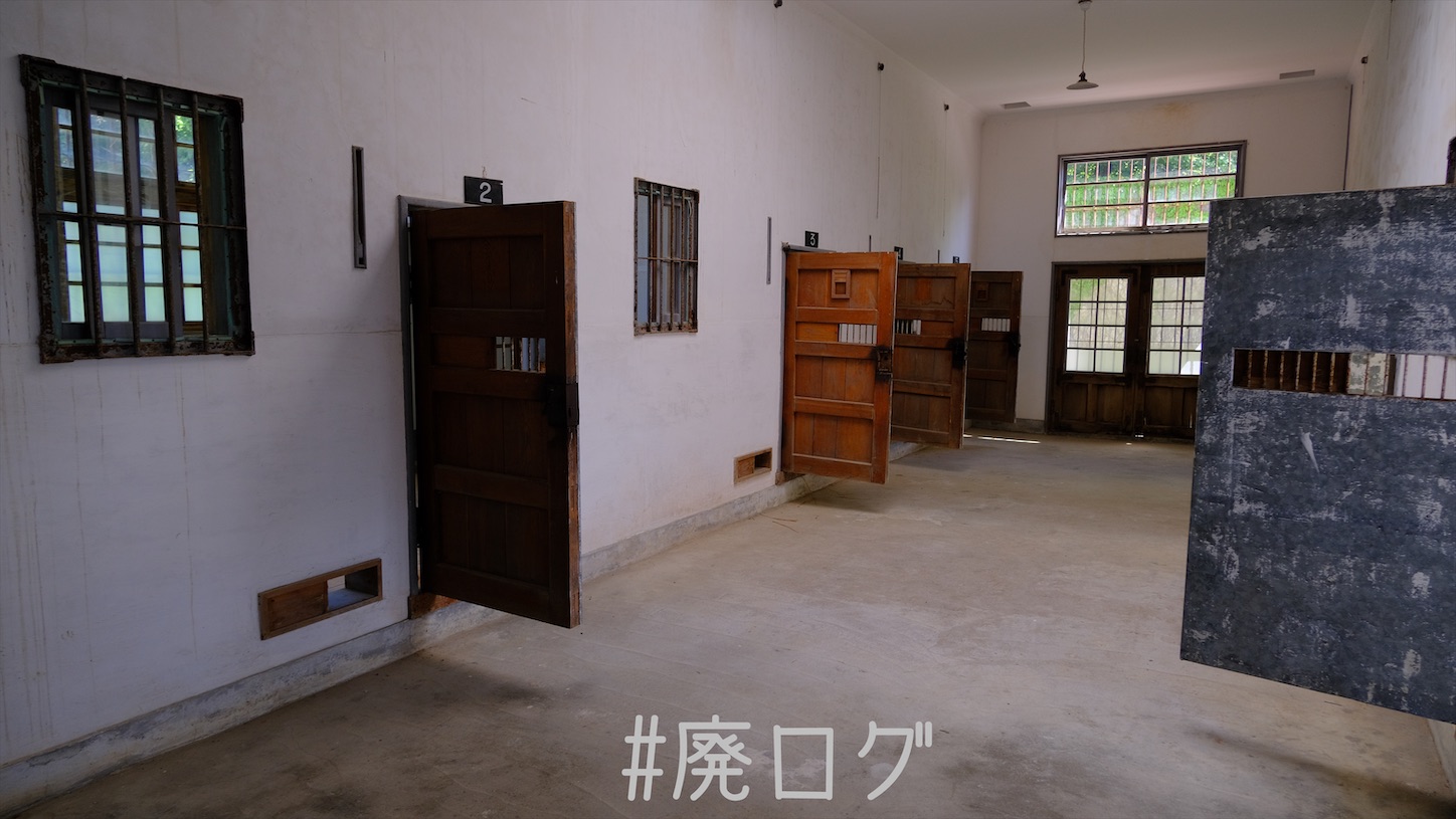 f:id:hiyapa:20210831231319j:image