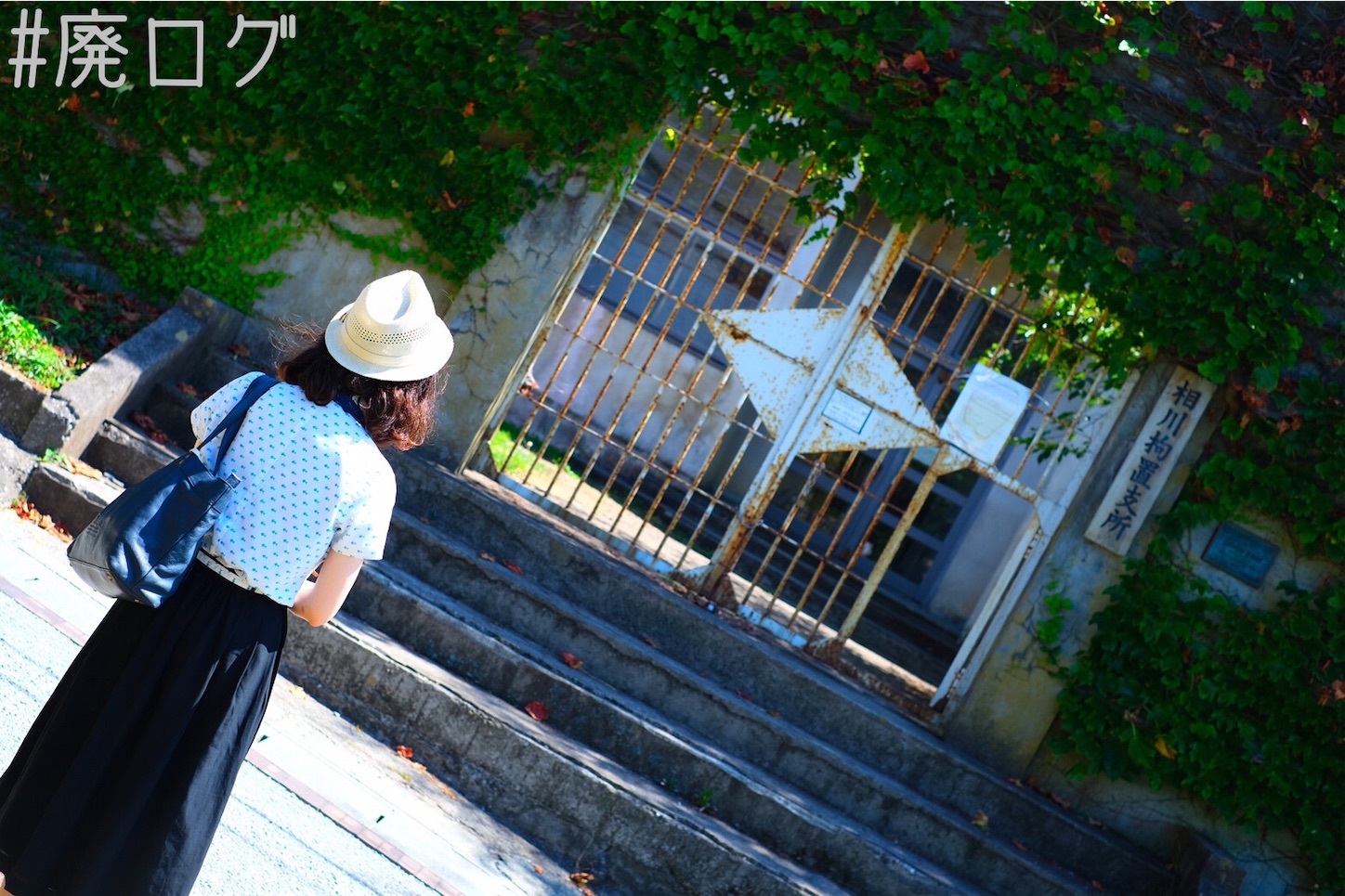f:id:hiyapa:20210831231332j:image
