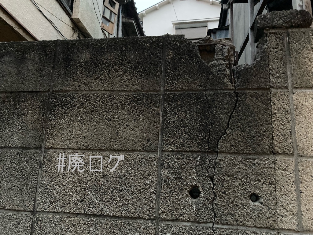 f:id:hiyapa:20210917081057j:image