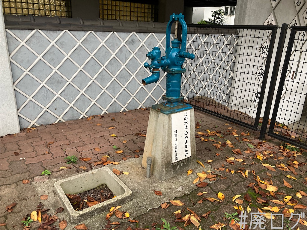 f:id:hiyapa:20210917081206j:image