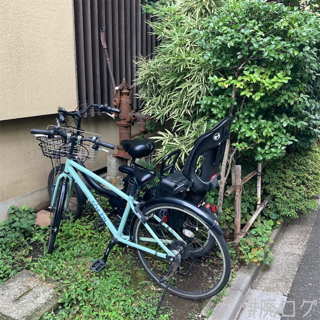 f:id:hiyapa:20210917081211j:image