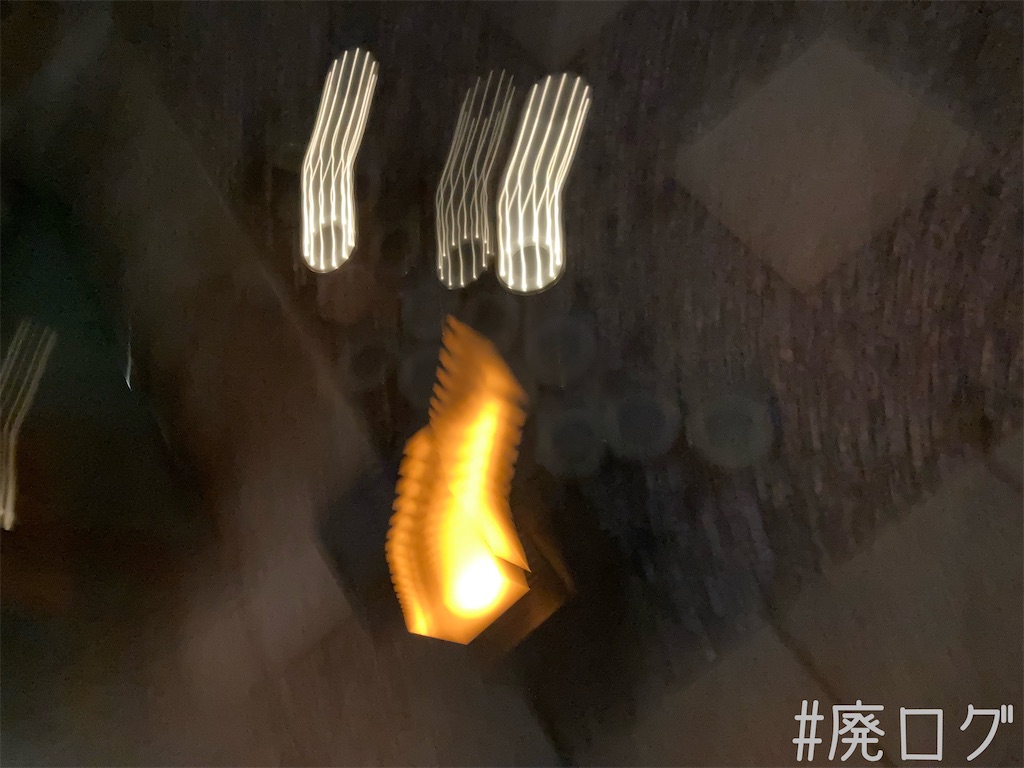 f:id:hiyapa:20210917081215j:image