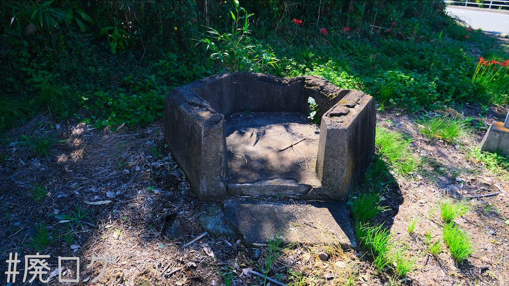 f:id:hiyapa:20211014082211j:image