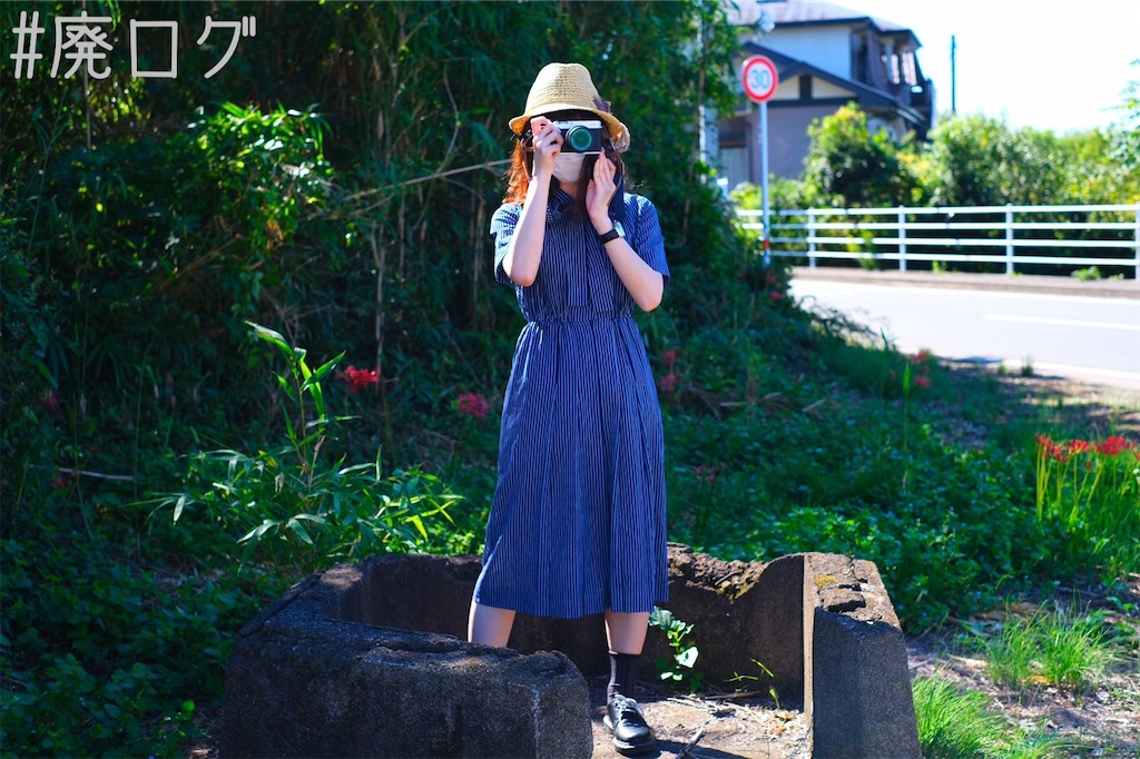 f:id:hiyapa:20211014082229j:image