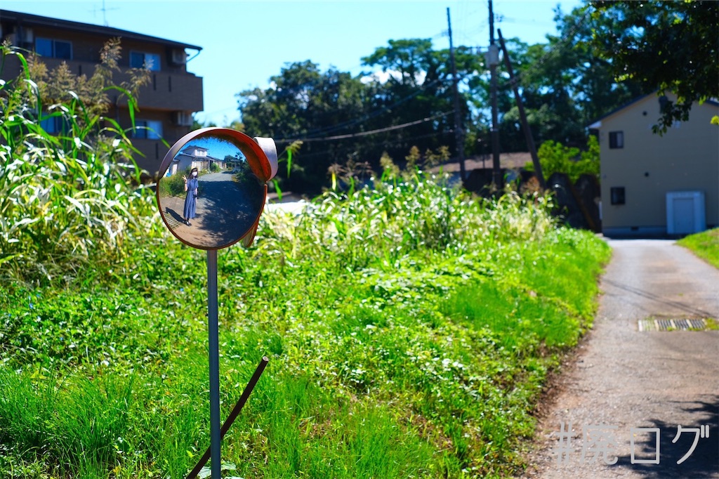 f:id:hiyapa:20211014082246j:image