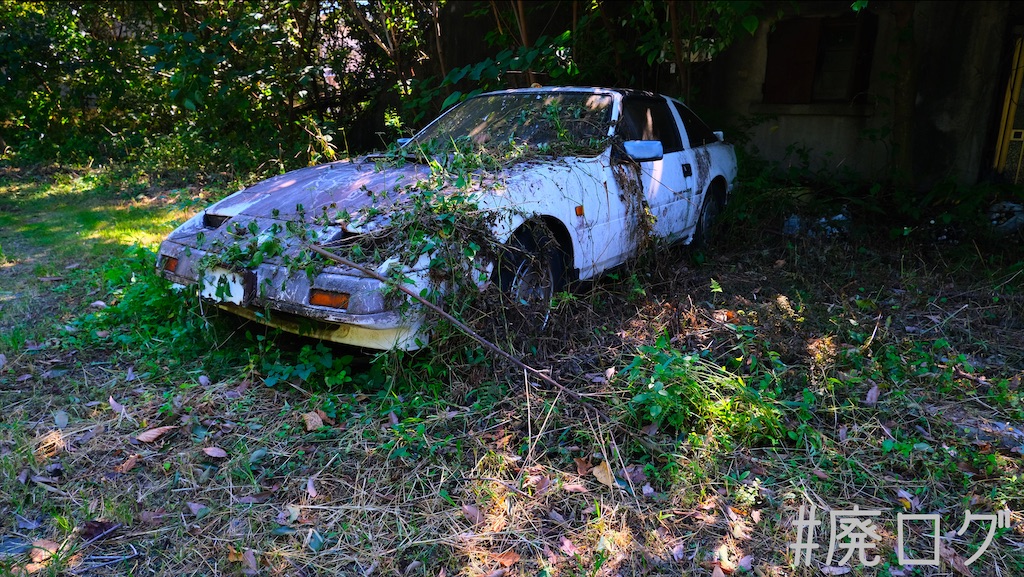 f:id:hiyapa:20211014082309j:image