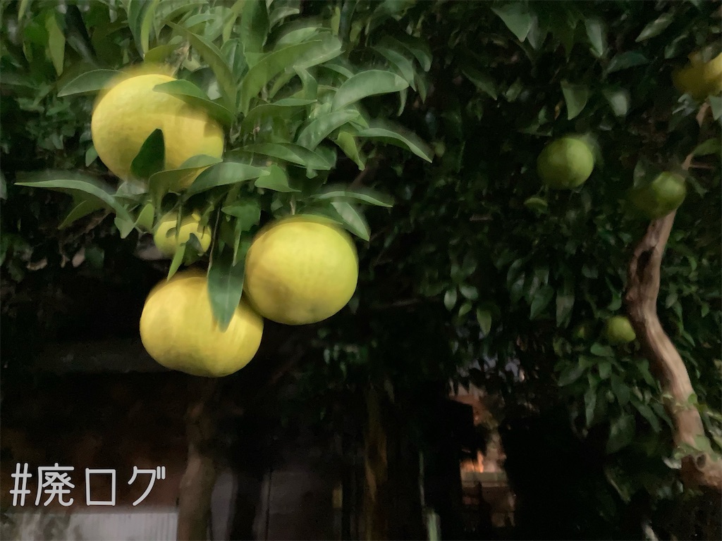 f:id:hiyapa:20211119080342j:image