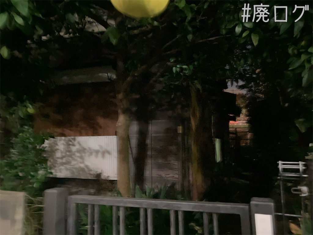 f:id:hiyapa:20211119080352j:image