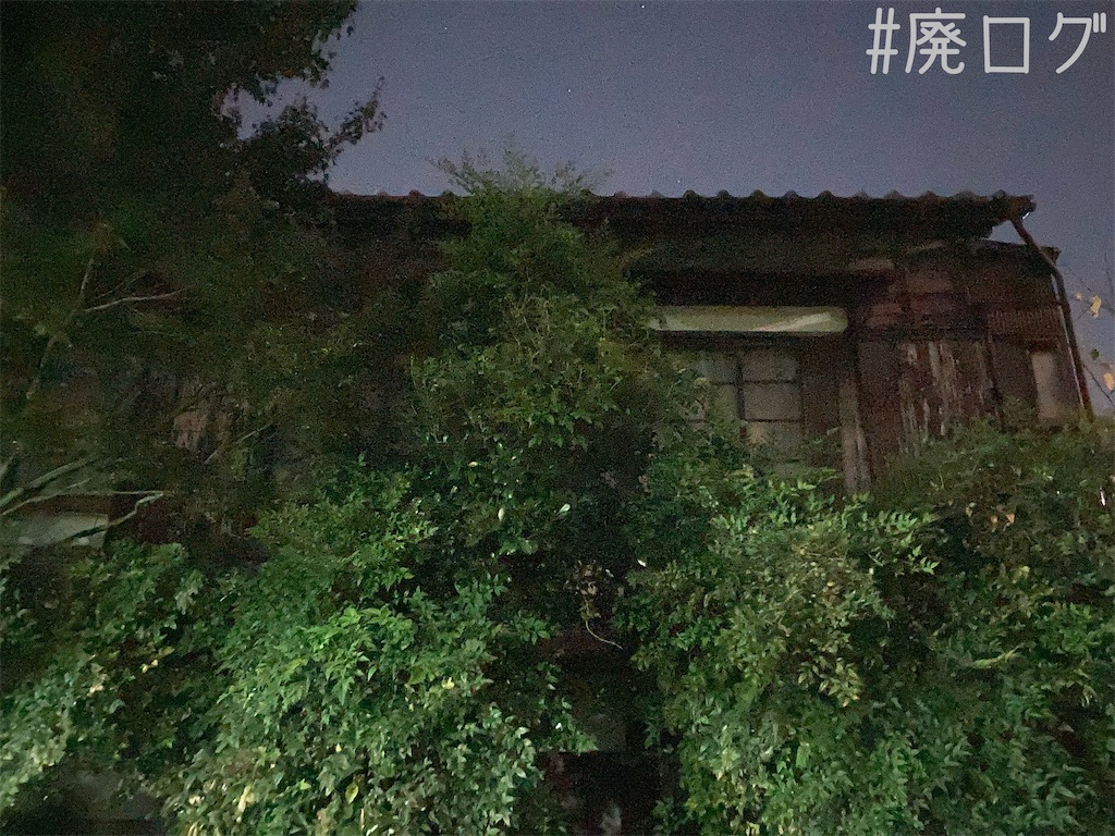 f:id:hiyapa:20211119080357j:image