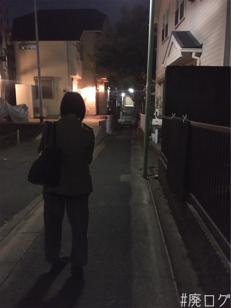 f:id:hiyapa:20211119080408j:image