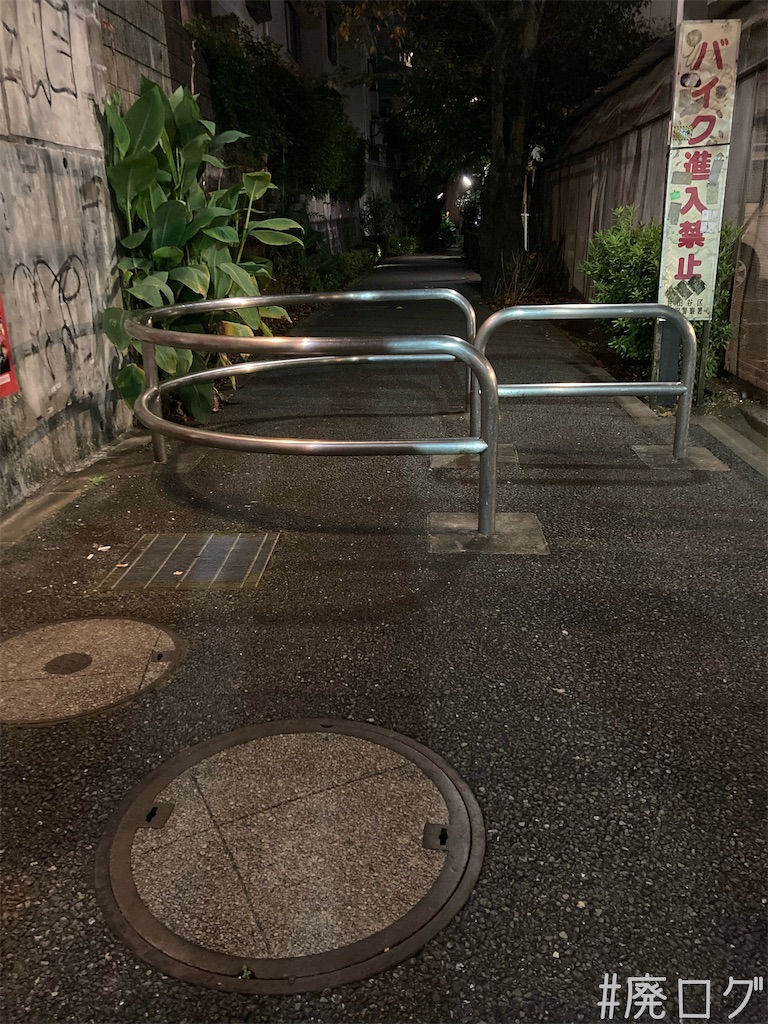 f:id:hiyapa:20211119082534j:image