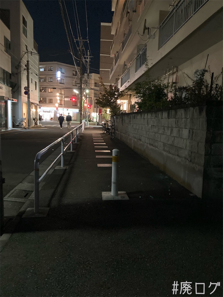f:id:hiyapa:20211119082536j:image