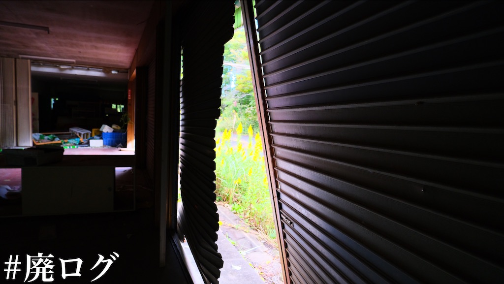 f:id:hiyapa:20211129212202j:image
