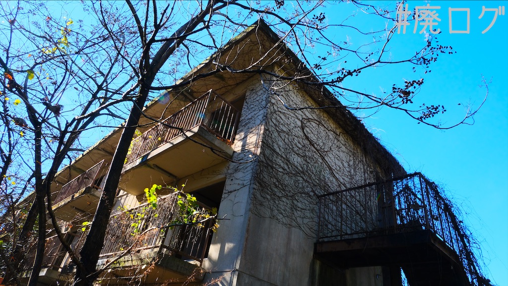 f:id:hiyapa:20220117082414j:image f:id:hiyapa:20220117082414j:image