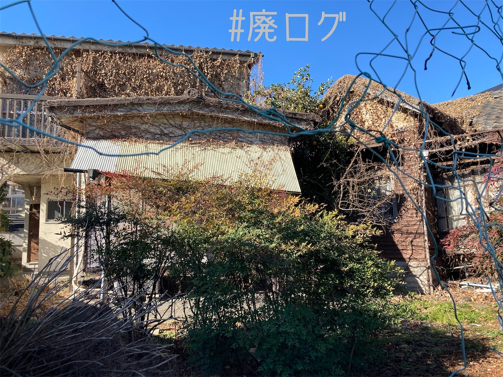 f:id:hiyapa:20220208210547j:image f:id:hiyapa:20220208210547j:image