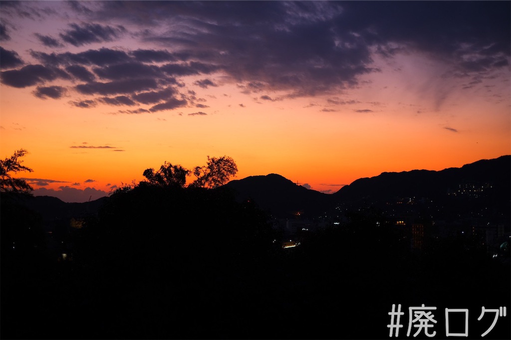 f:id:hiyapa:20220308224708j:image