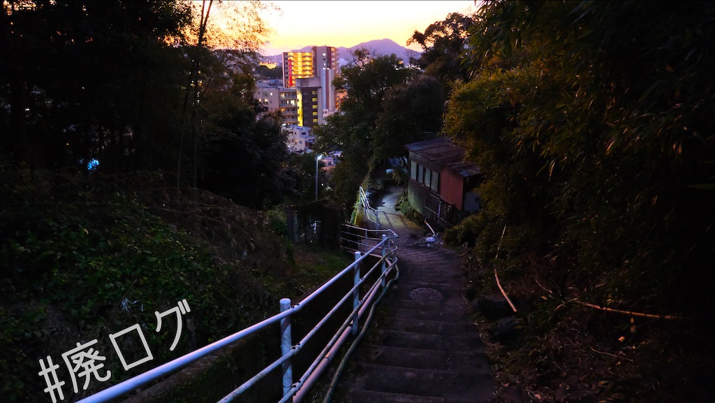 f:id:hiyapa:20220308224723j:image
