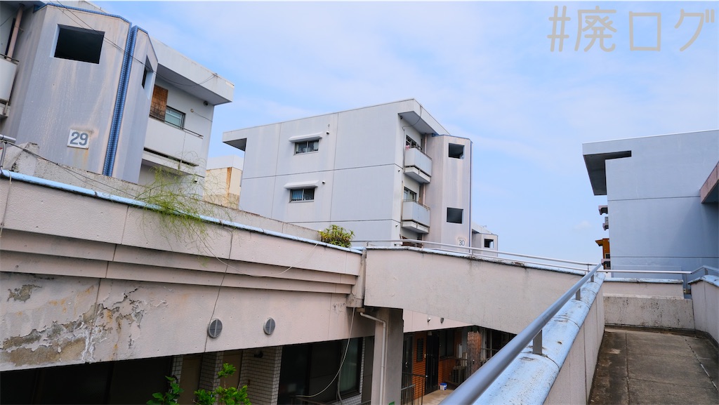 f:id:hiyapa:20220603215428j:image