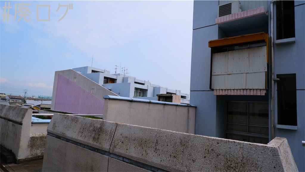 f:id:hiyapa:20220603215439j:image