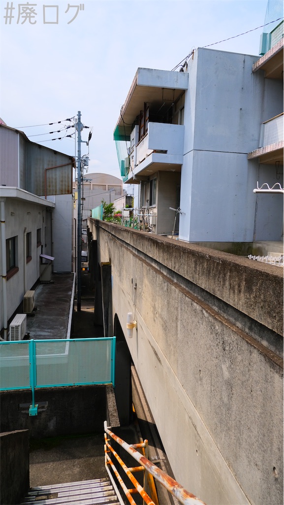 f:id:hiyapa:20220603215502j:image