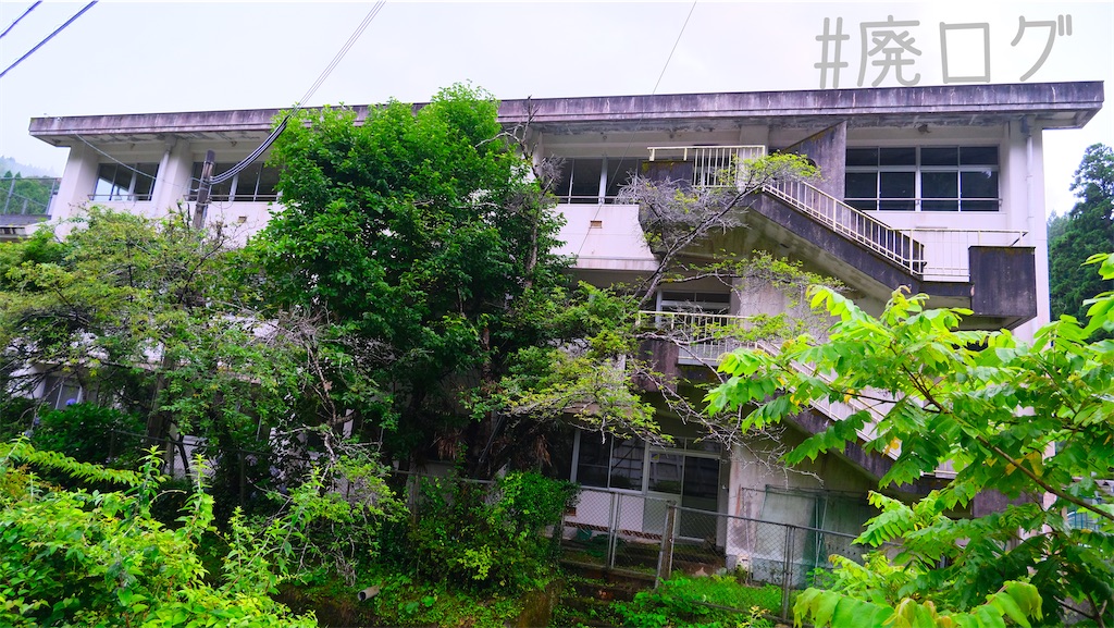 f:id:hiyapa:20220721080003j:image
