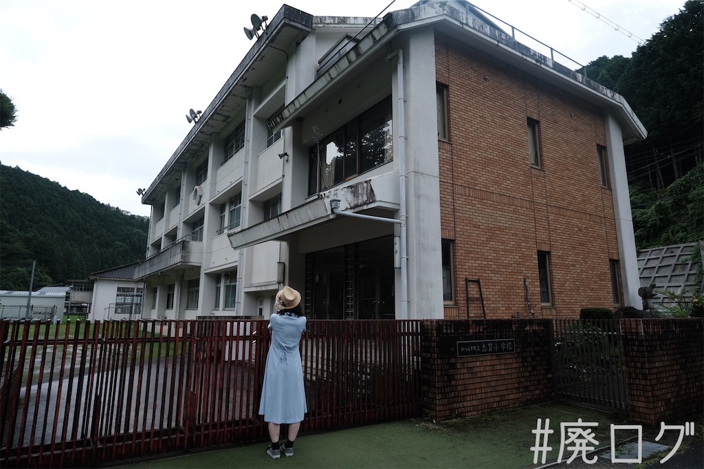 f:id:hiyapa:20220721080008j:image