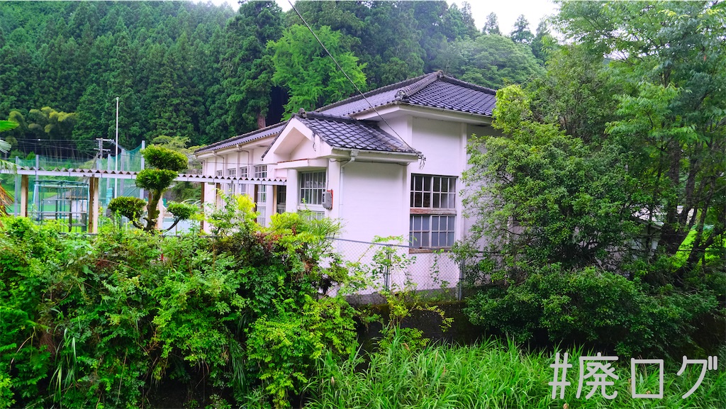 f:id:hiyapa:20220721080108j:image