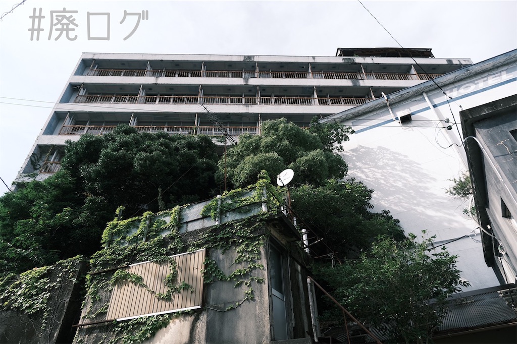 f:id:hiyapa:20220820094317j:image