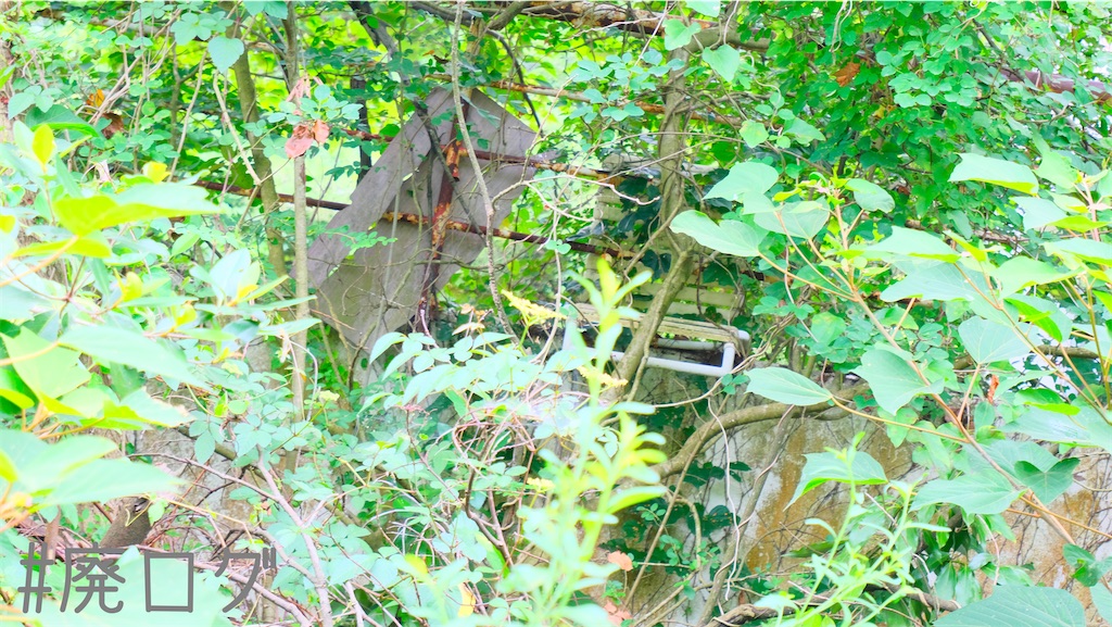 f:id:hiyapa:20220913081900j:image